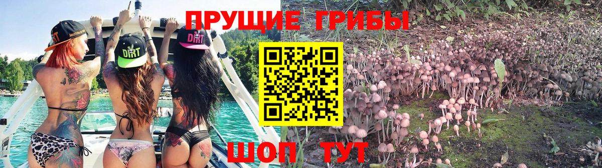 Галлюциногенные грибы MAGIC MUSHROOMS Норильск