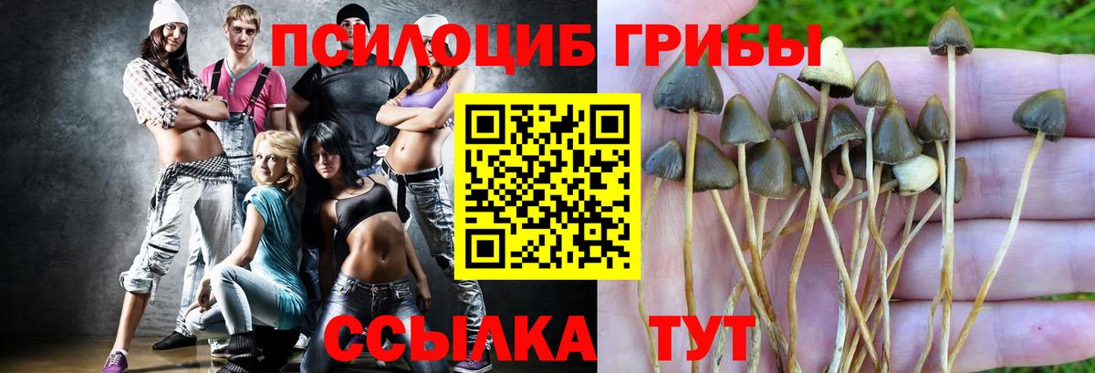 Галлюциногенные грибы прущие грибы  Галлюциногенные грибы Magic Shrooms  Вход с VPN  Норильск 